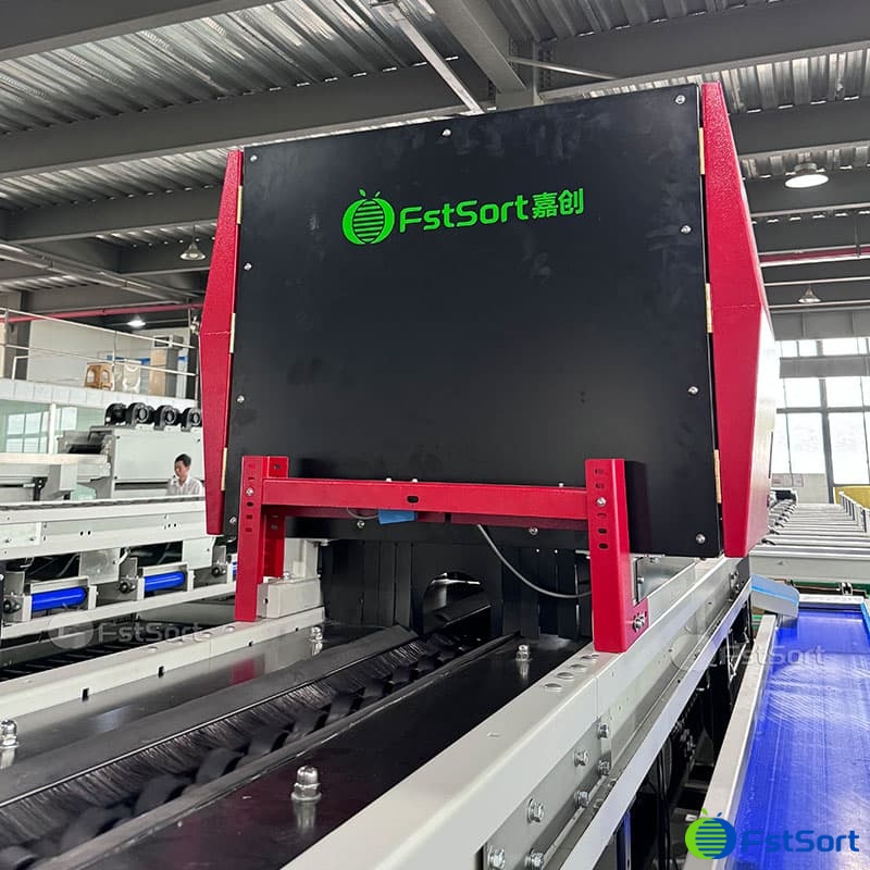 tomato optical sorting machine.jpg tomato optical sorting machine.jpg